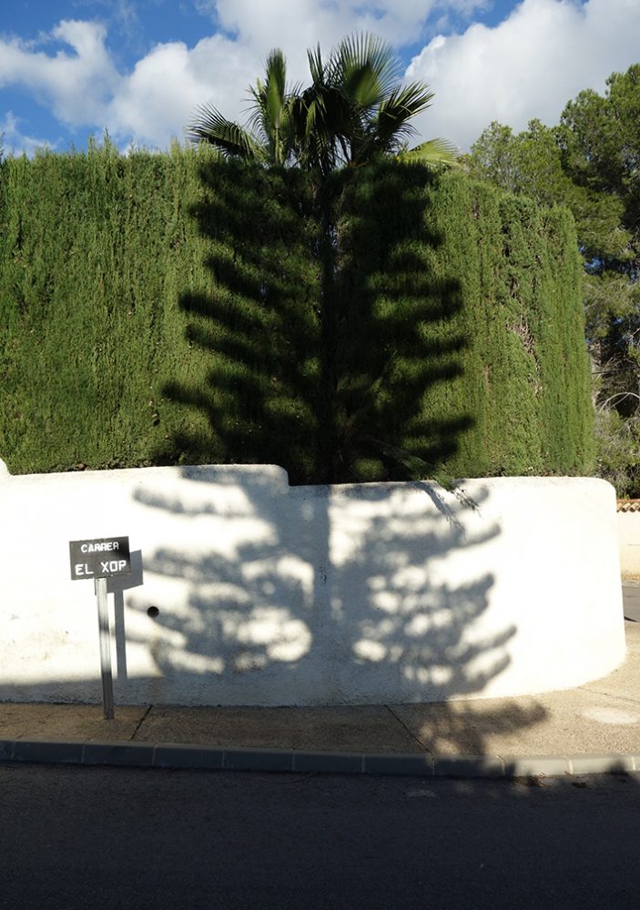 Sick Trees